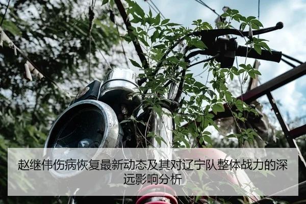 赵继伟伤病恢复最新动态及其对辽宁队整体战力的深远影响分析 | HTH SPORTS